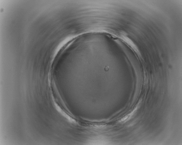 X0000065980958200603172112