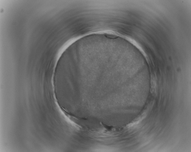 X0000065980959200603172112