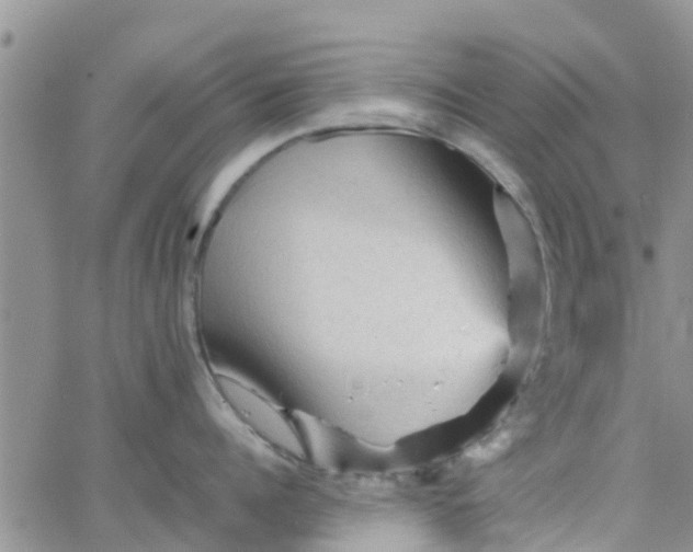 X0000065980960200603172112