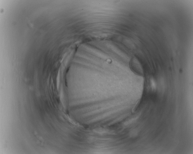 X0000065980962200603172111