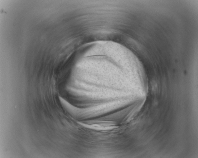 X0000065980964200603172111