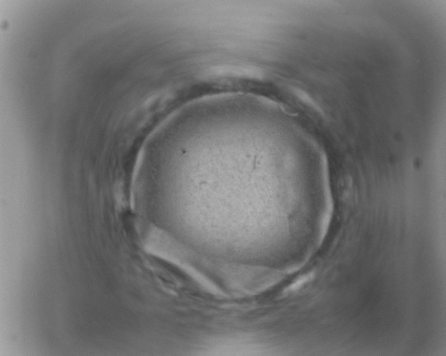 X0000065980965200603172111