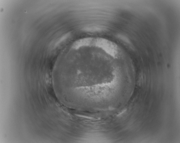 X0000065980966200603172111