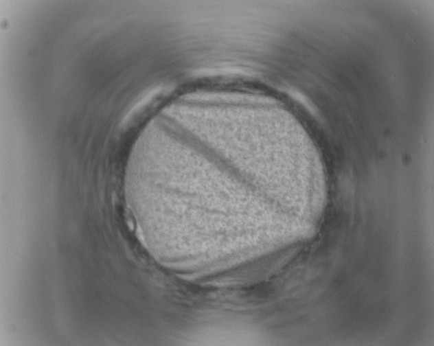 X0000065980967200603172111