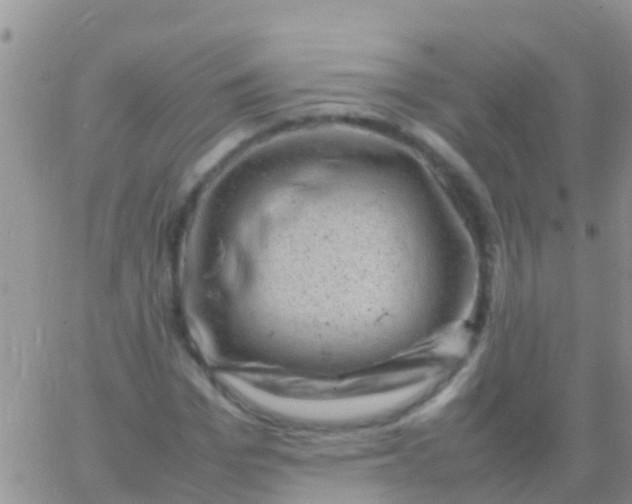 X0000065980969200603172111