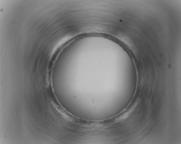 X0000065980974200603172111