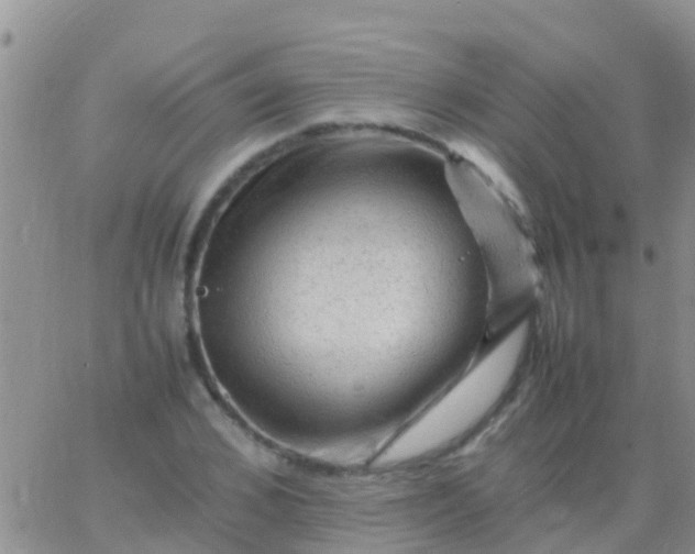 X0000065980976200603172111