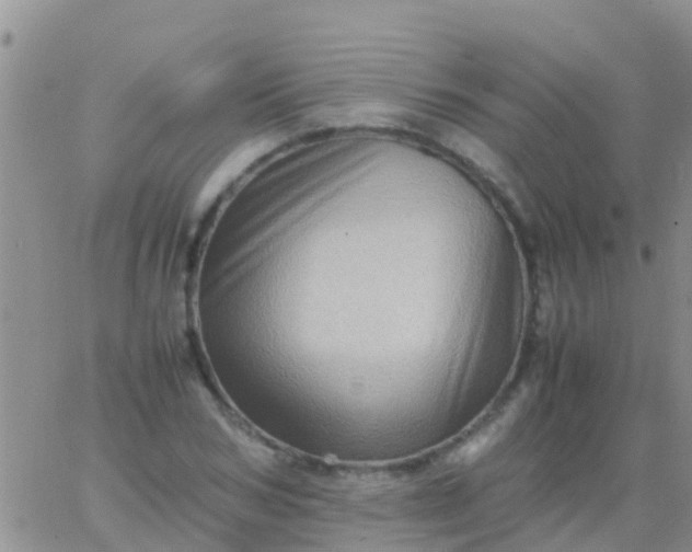 X0000065980978200603172111