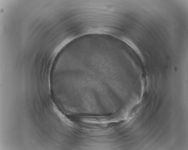 X0000065980980200603172111