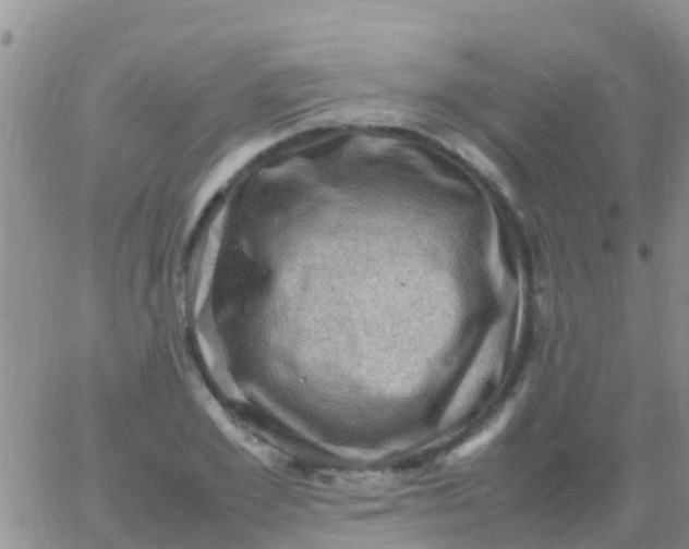 X0000065980981200603172111