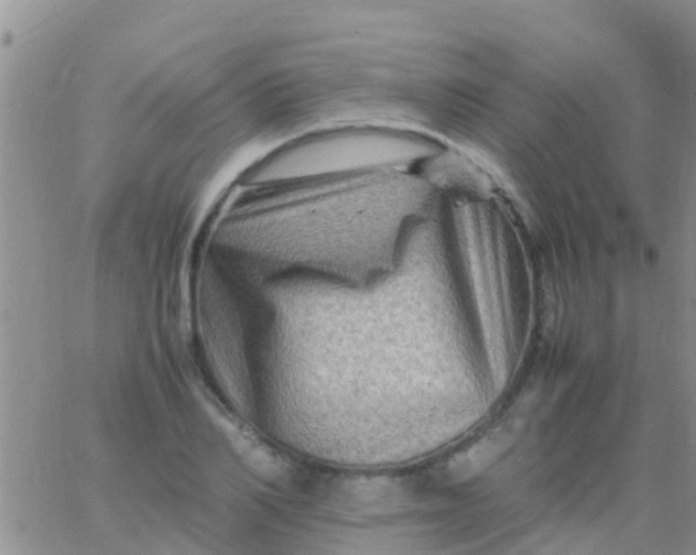 X0000065980982200603172111