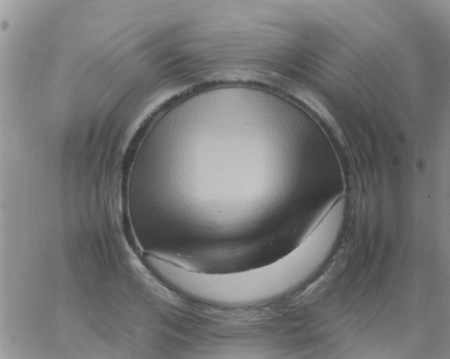 X0000065980984200603172111