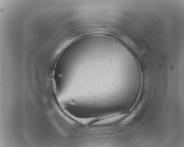 X0000065980985200603172111