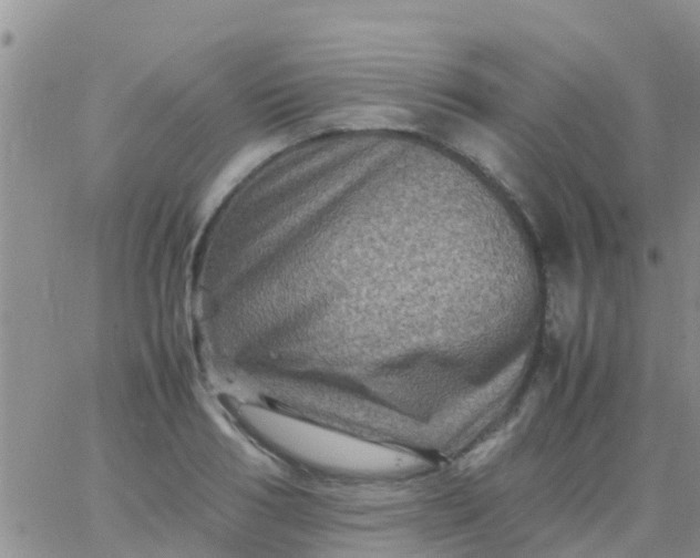 X0000065980986200603172111