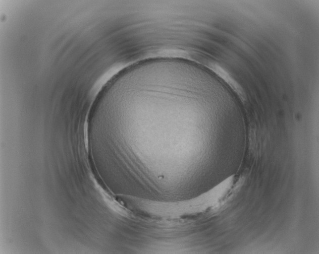 X0000065980988200603172111