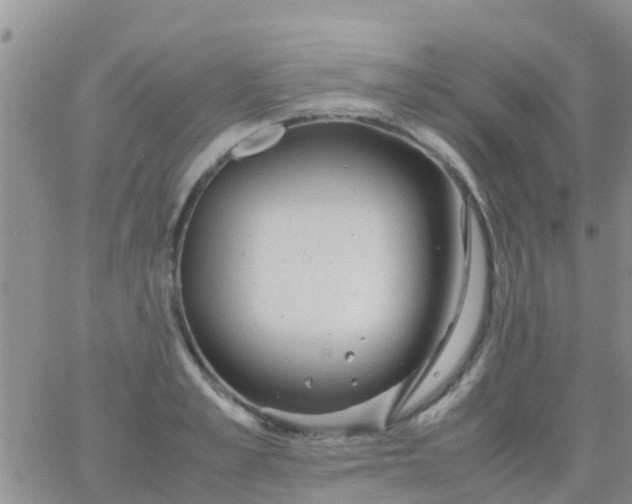 X0000065980989200603172111