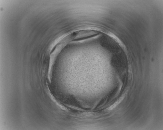 X0000065980993200603172110