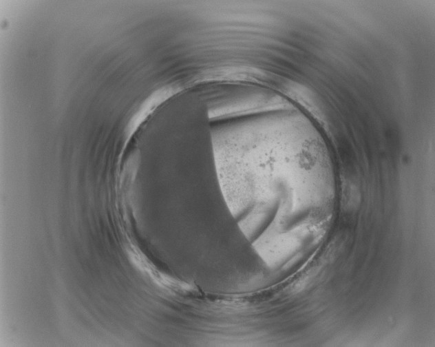 X0000065980994200603172110