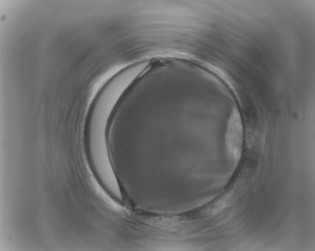 X0000065980995200603172110