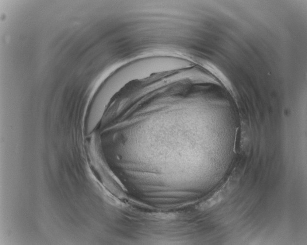 X0000065980996200603172110