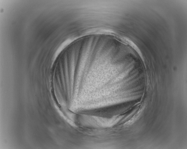 X0000065980997200603172110