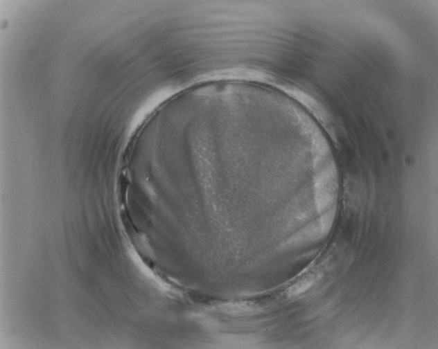 X0000065980998200603172110