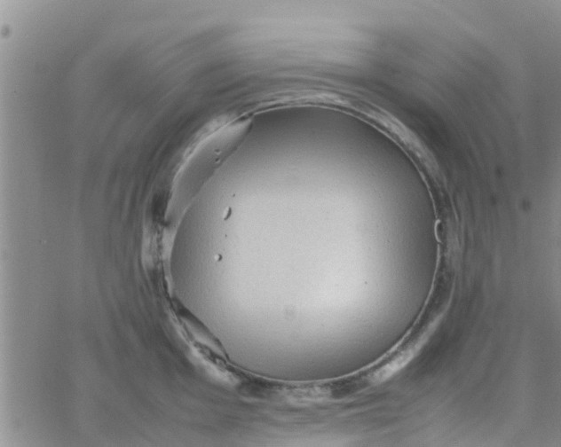 X0000065981001200603172110