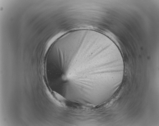 X0000065981003200603172110