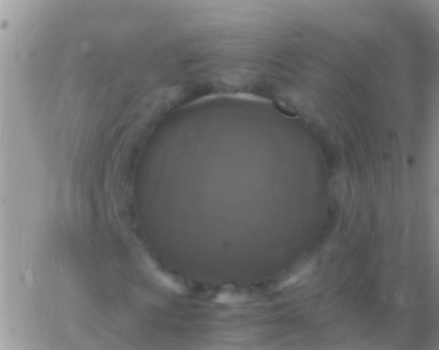 X0000065981009200603172109