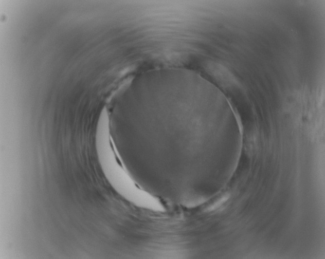 X0000065981010200603172109