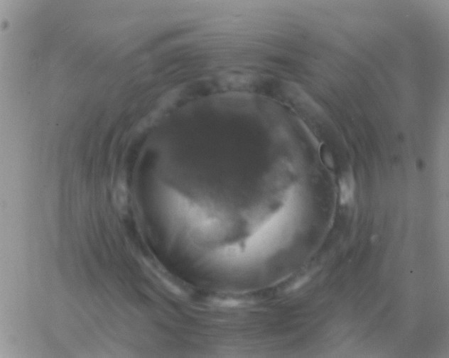 X0000065981011200603172109