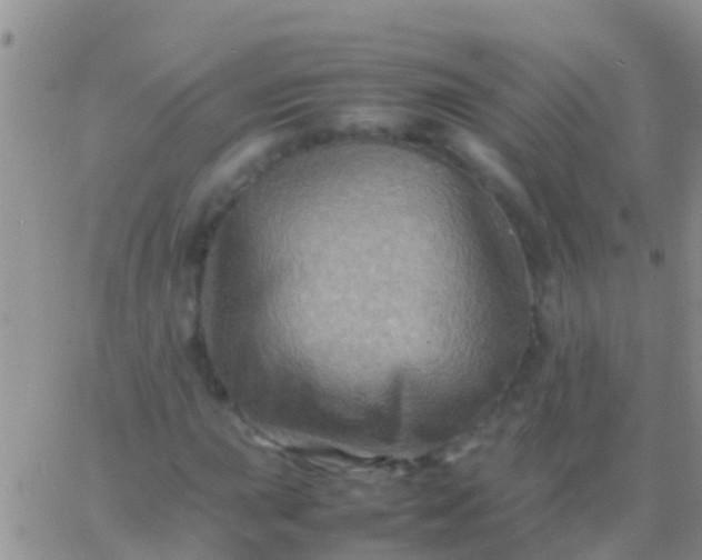 X0000065981015200603172110