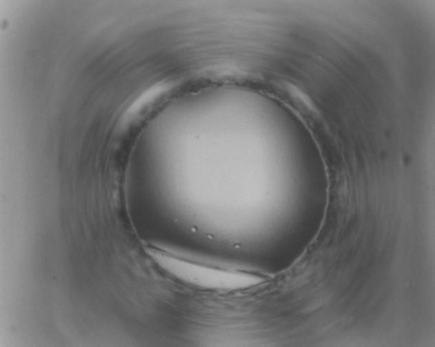 X0000065981016200603172110