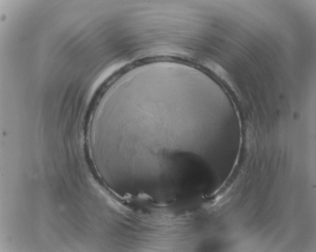 X0000065981024200603172110