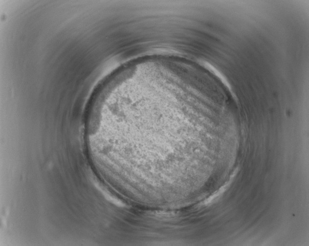 X0000065981029200603172110