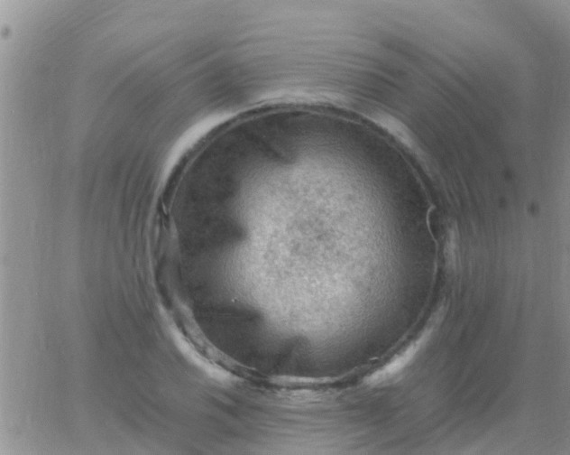 X0000065981030200603172110