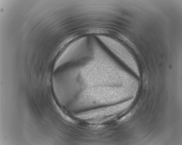 X0000065981033200603172110