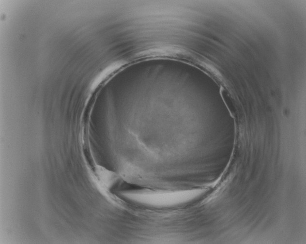 X0000065981034200603172110