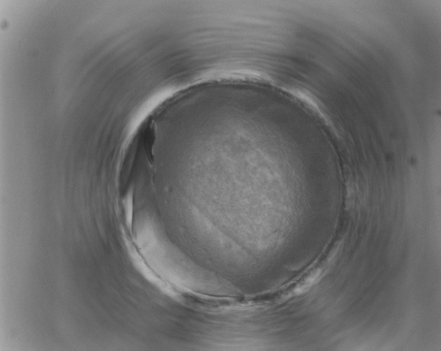 X0000065981038200603172110