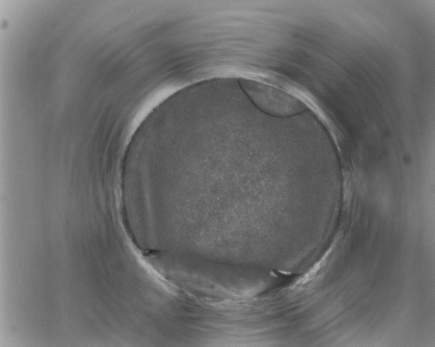 X0000065981048200603172110