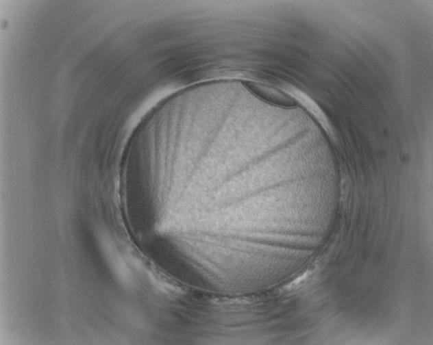 X0000065981051200603172110