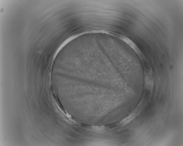 X0000065981052200603172110