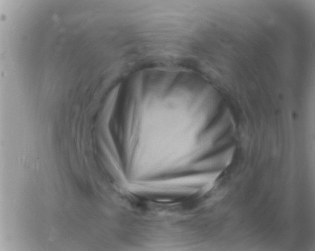 X0000065981057200603172109