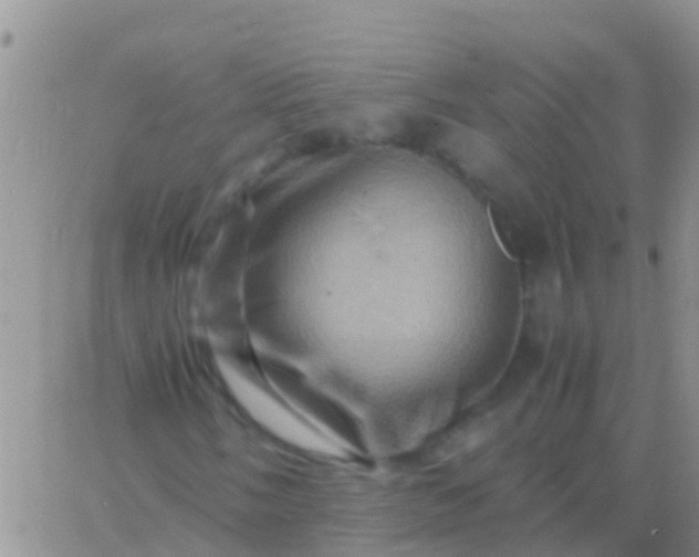 X0000065981058200603172109