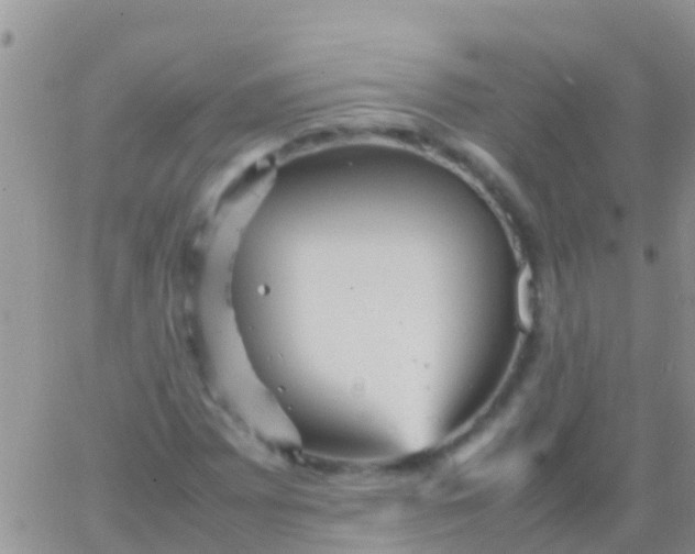 X0000065981065200603172109