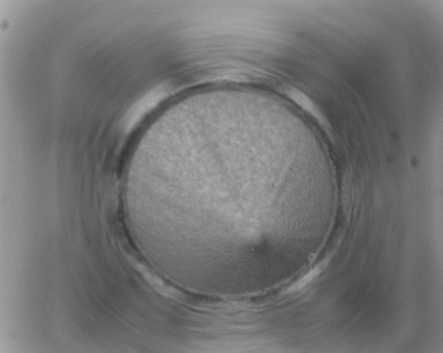 X0000065981067200603172109