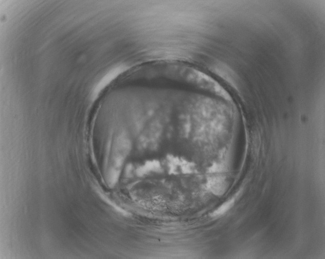 X0000065981071200603172109