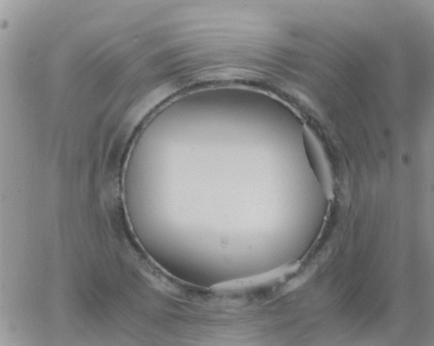 X0000065981073200603172109