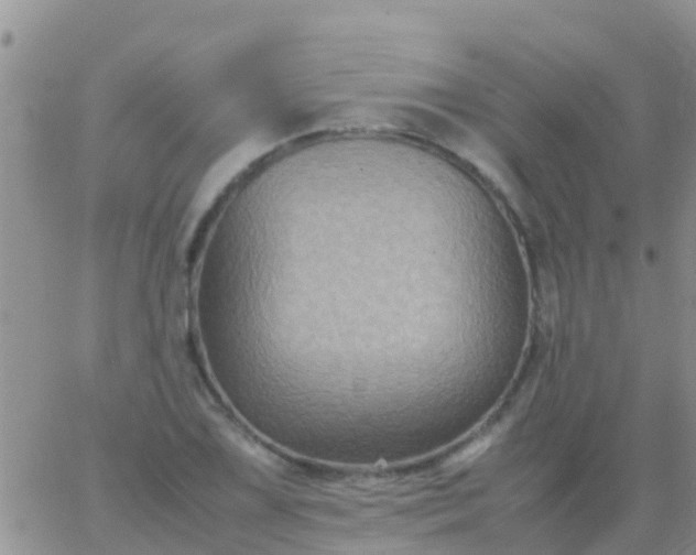 X0000065981075200603172109