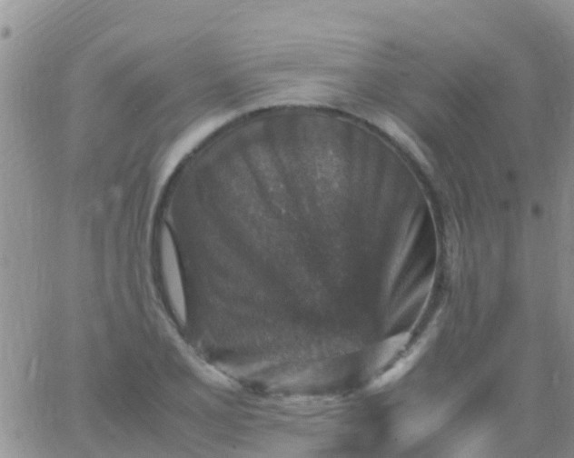 X0000065981077200603172109